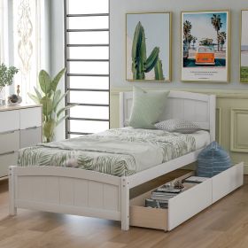 Twin Size Platform Bed With Two Drawers, White (Color: White)